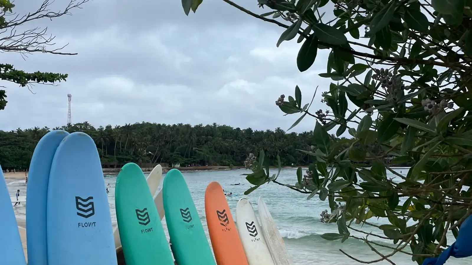 Tavole da surf sulla spiaggia
