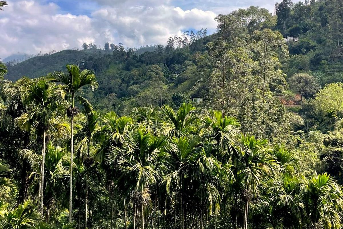 Sri Lanka