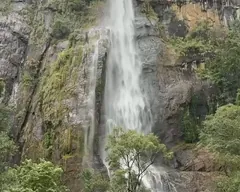 Giungla e cascate