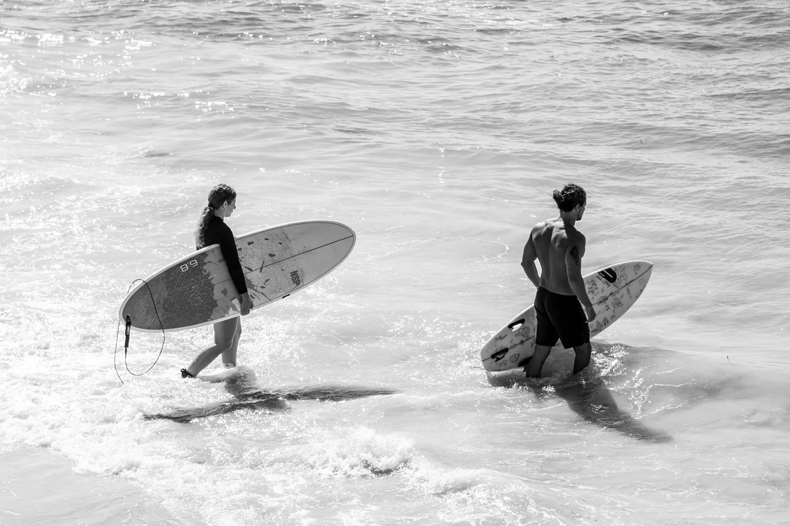 Surf